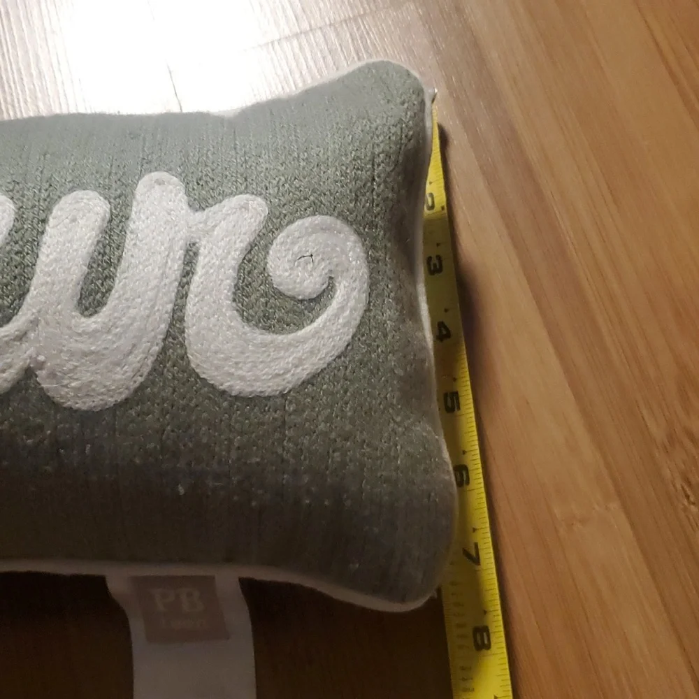 Pottery barn teen bonjour pillow